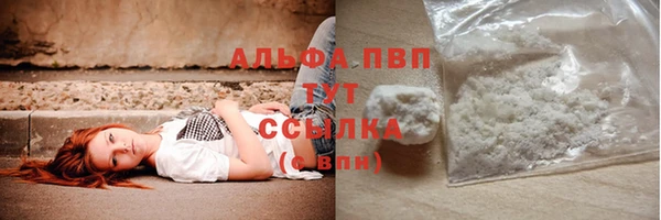 ешки Арсеньев