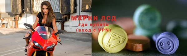 прущие грибы Армянск