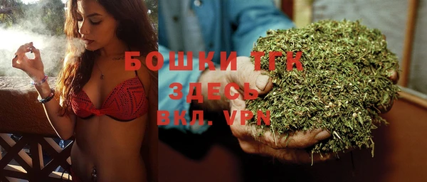 ешки Арсеньев
