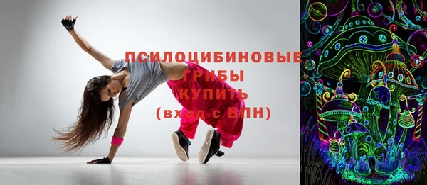 прущие грибы Армянск