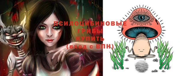 прущие грибы Армянск