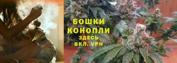 ALPHA PVP Аркадак